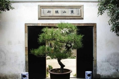 苏州留园-留园东山丝竹