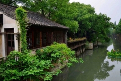 嘉兴乌镇古镇-乌镇之华东春来绿如蓝