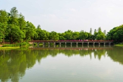 杭州西溪湿地-西溪国家湿地公园栈桥