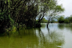 杭州西溪湿地-西溪湿地生态好