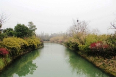 杭州西溪湿地-西溪湿地水域美景