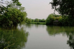 杭州西溪湿地-西溪湿地水域美景