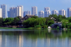 无锡蠡湖公园-蠡湖公园夏之秀