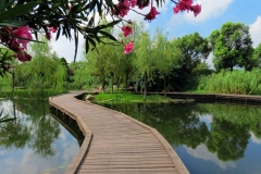 无锡蠡湖公园-蠡湖公园栈道