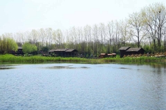 溱湖湿地