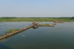 泰州溱湖湿地-溱湖湿地