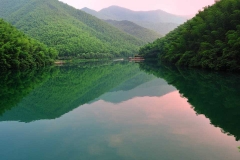 南山竹海-南山竹海