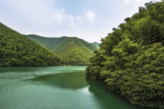 南山竹海-南山竹海