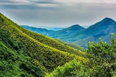 南山竹海-南山竹海