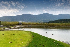 紫清湖