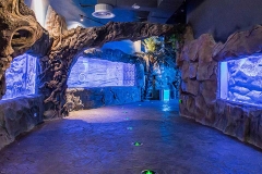 芜湖新华联大白鲸海洋公园-奇幻大堡礁
