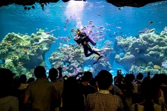 芜湖新华联大白鲸海洋公园-海底谜城