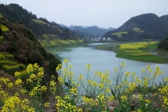 新安江