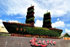 亚龙湾玫瑰谷