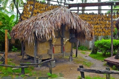 陵水椰田古寨-椰田古寨