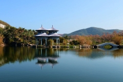 南山佛教文化旅游区-南山佛教文化区