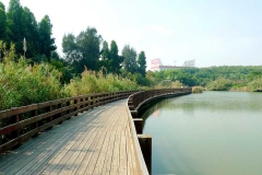 厦门五缘湾湿地公园-五缘湾湿地