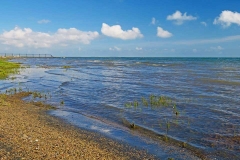 青海湖-青海湖