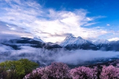 雅鲁藏布江大峡谷-雅鲁藏布大峡谷