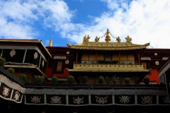 大昭寺-大昭寺