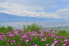 大理洱海