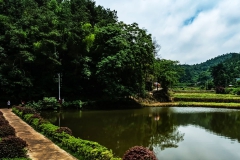 毛主席韶山故居-毛泽东故居外的水塘