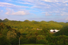 百里杜鹃景区