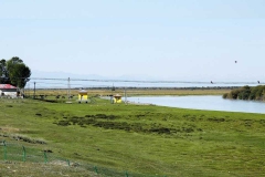 昭苏湿地公园